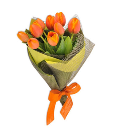 Ramo de 10 Tulipanes